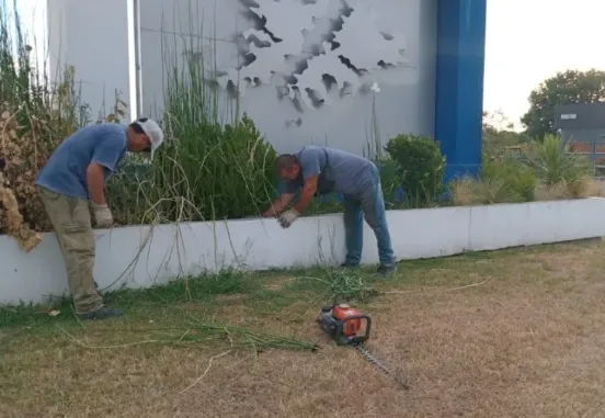 capture_260209_083239