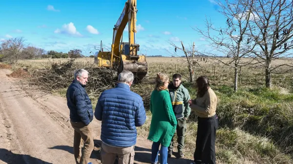 2025_07_25_20_15_16_2546211