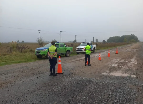 2026_03_31_20_26_04_7199939