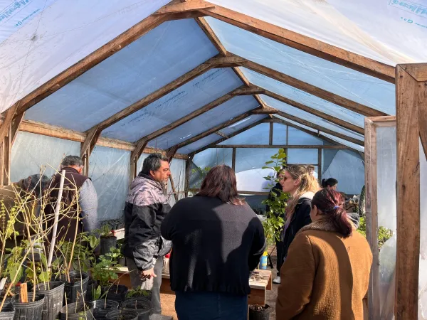 2025_07_29_23_44_57_1834296