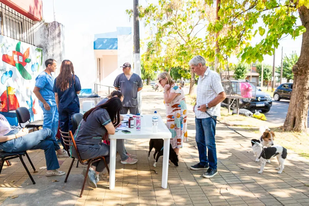 WhatsApp Image 2026-04-07 at 11.31.17