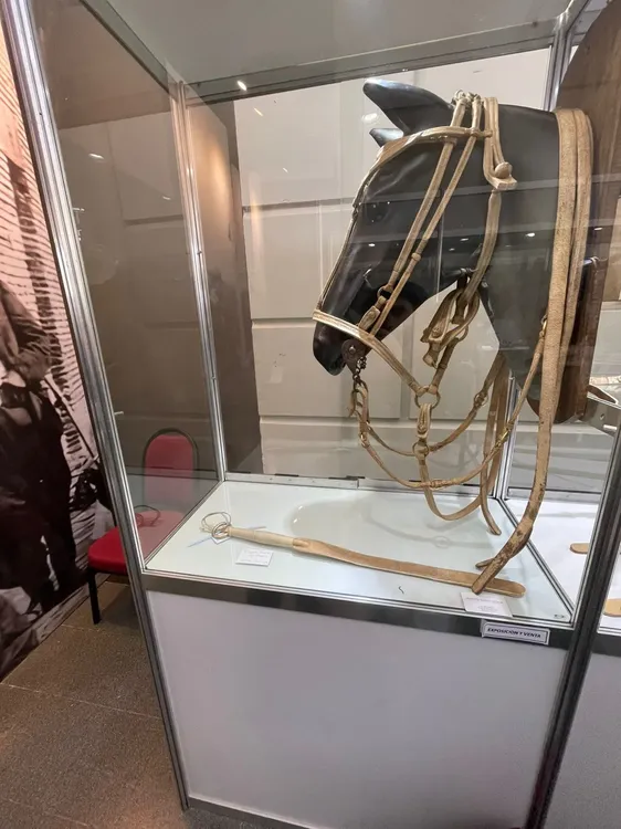 32b96882-22f4-4588-afba-9f924e53d6b2