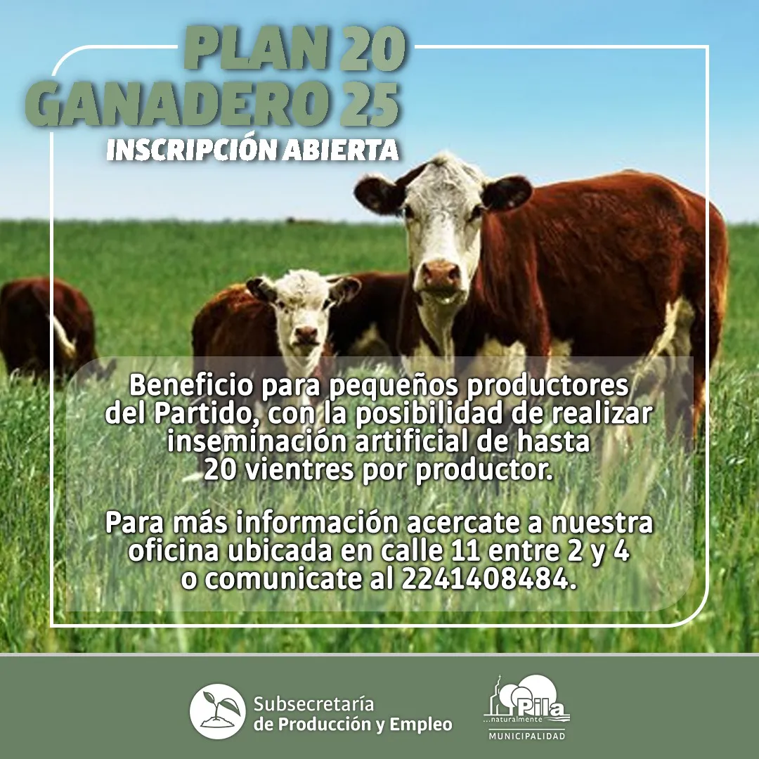 Imagen-de-WhatsApp-2025-08-25-a-las-12.55.07_1b095fb5