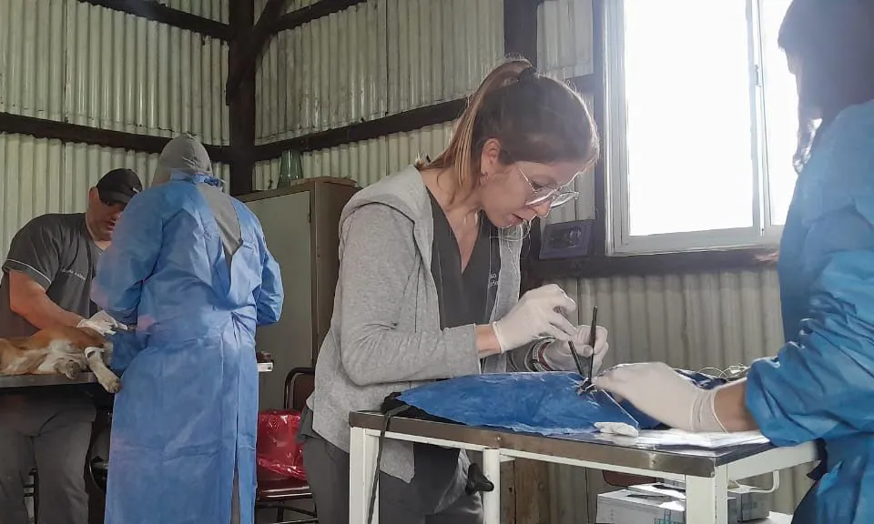 f6340549-d9be-4f82-824f-a53171bdbaf5