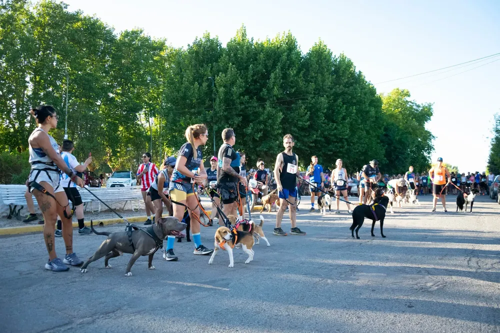 646827622_1363102215846846_5315570480070652384_n