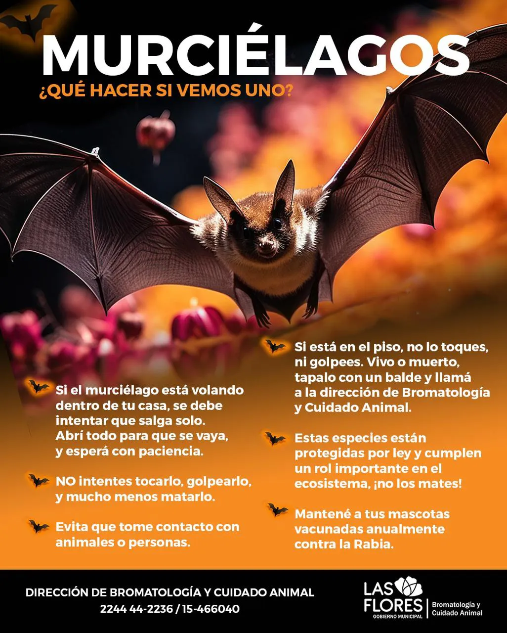 f556b5ab-c862-44a6-bff6-f741949b19f2