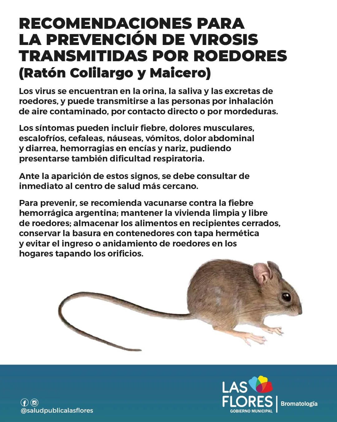 WhatsApp Image 2026-03-30 at 10.38.01