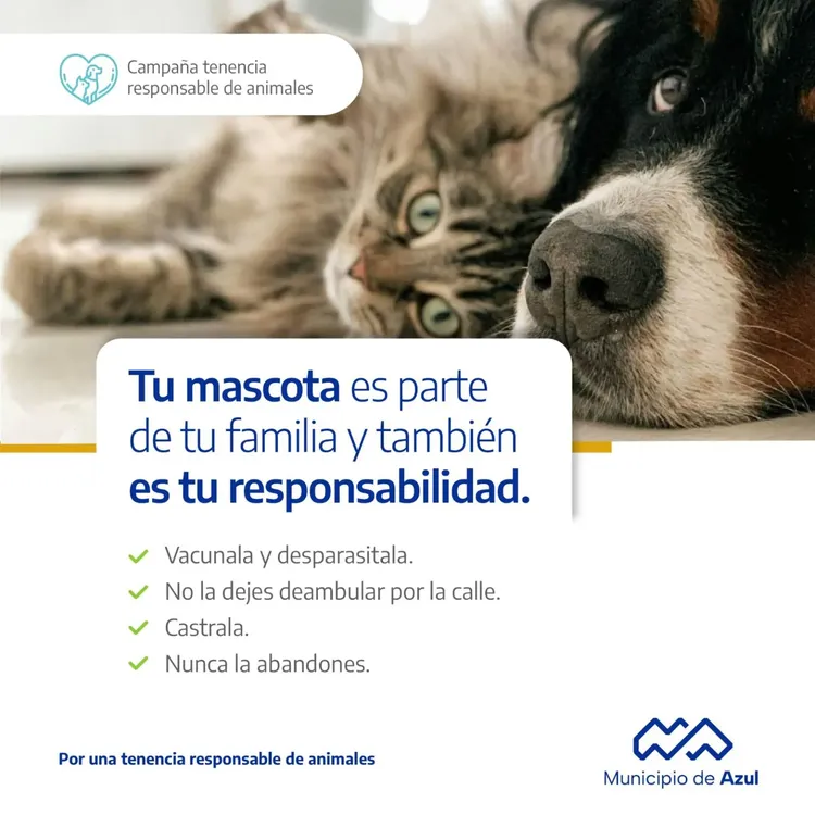 Tenencia-responsable-1-1536x1536