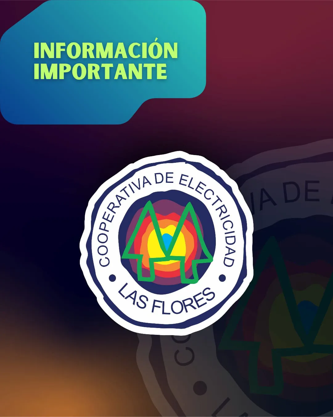 WhatsApp Image 2026-02-09 at 17.45.01