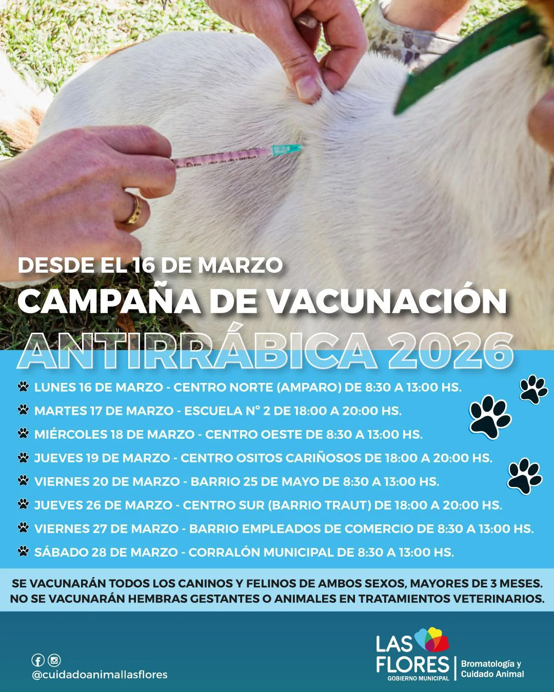 WhatsApp Image 2026-03-09 at 10.53.18