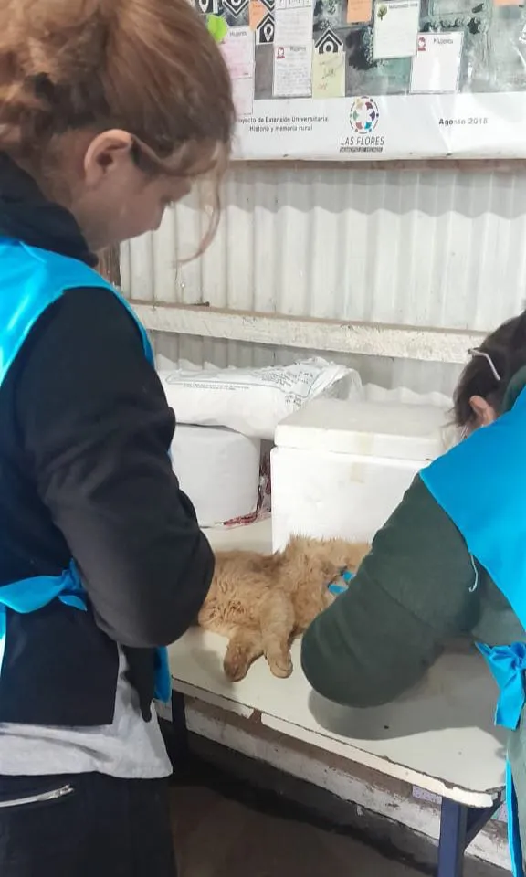 f8b2c371-5c7b-46d7-8893-90d955302f81