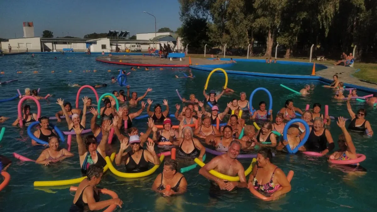 WhatsApp Image 2026-01-06 at 18.26.29