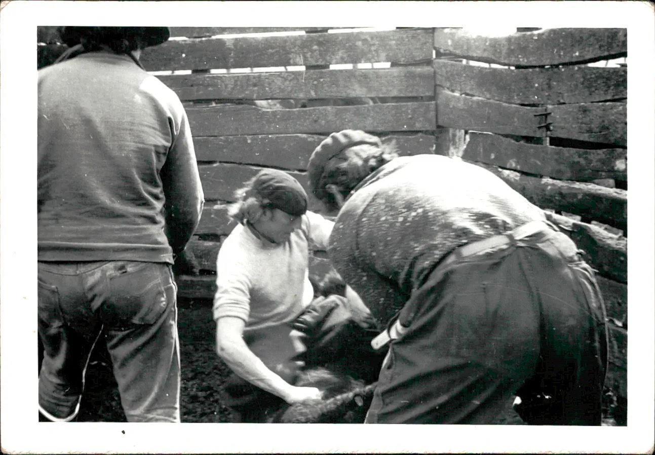 WhatsApp Image 2026-02-06 at 10.48.09 (1)