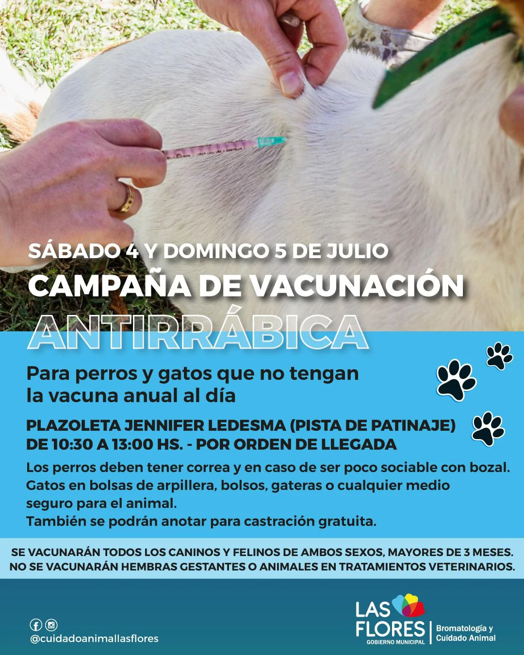 WhatsApp Image 2026-07-03 at 12.37.54