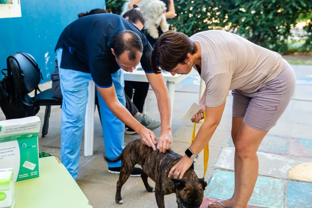 WhatsApp Image 2026-04-07 at 11.31.18 (1)