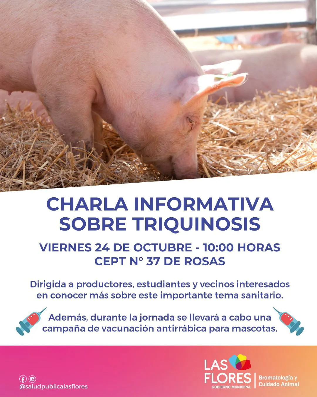 88b8c898-7d4d-4c4f-a582-ed6cccd8634e