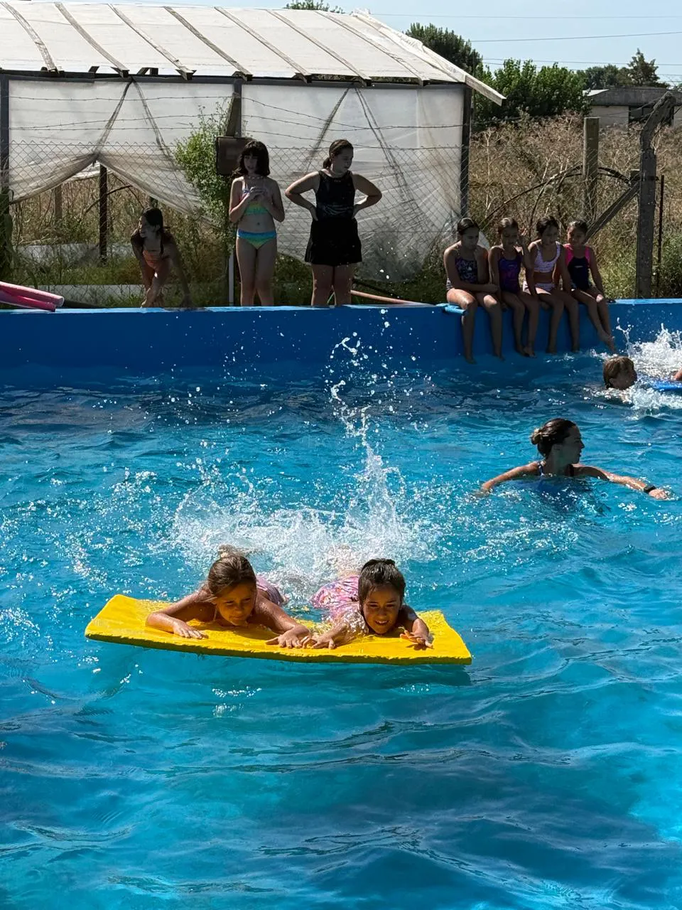 WhatsApp Image 2026-02-02 at 12.34.33 (2)