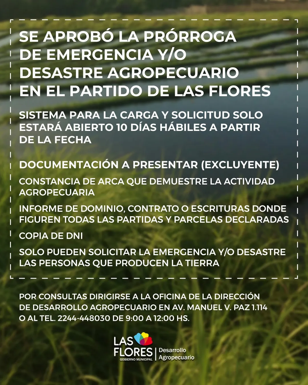 WhatsApp Image 2026-01-07 at 11.41.48