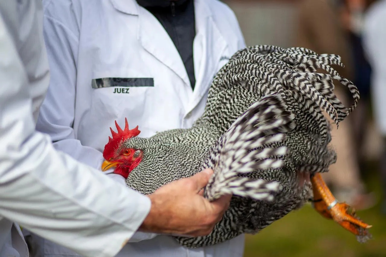 9506a4b8-e5b9-448c-a0be-d4a0478d2df0