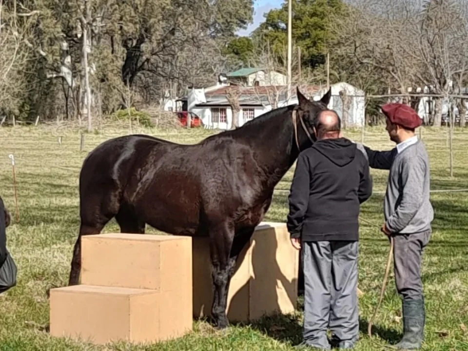 623509091_18406019128132258_207557330145023124_n