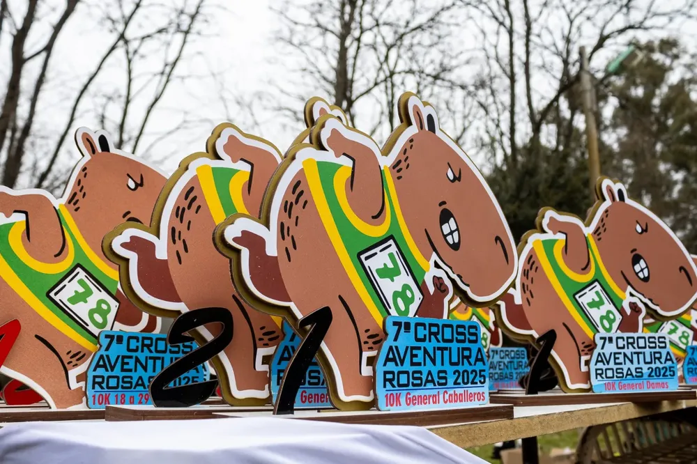 6950bedd-d824-4538-91f2-d848b38c1ac4