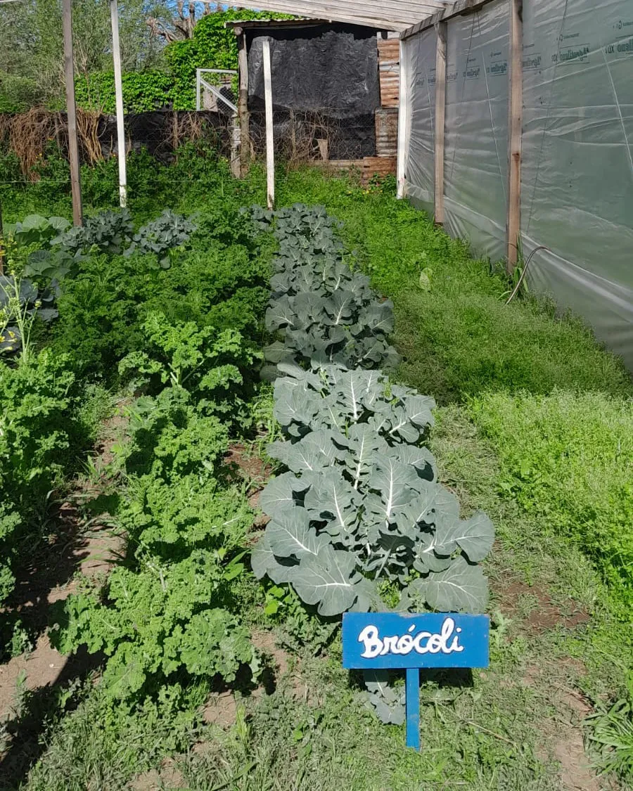 3695890a-a22e-4d8c-a771-35c3d2e1bab7