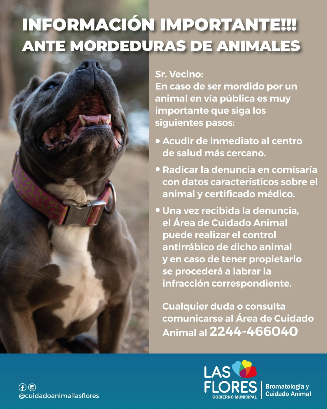 WhatsApp Image 2026-04-09 at 11.19.36