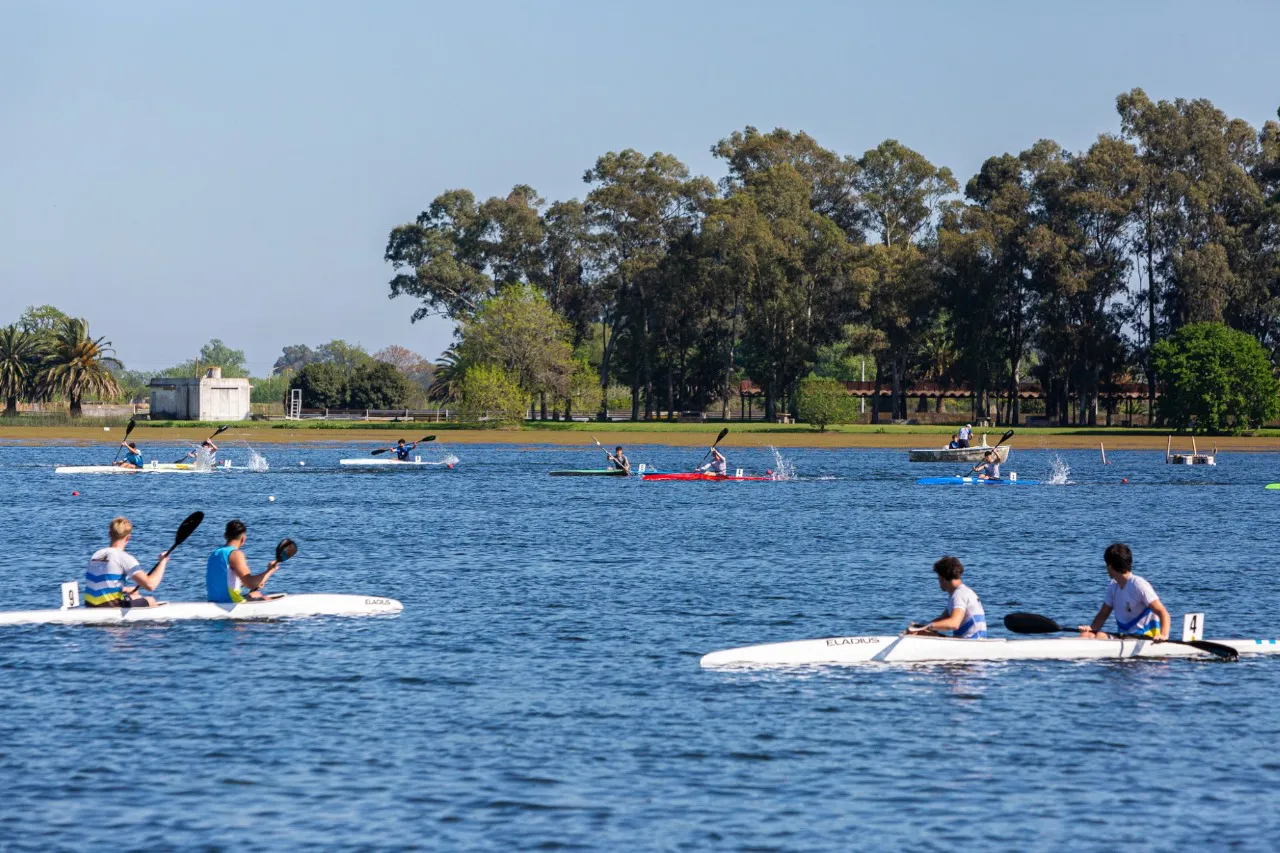 77ff7680-601e-4df4-8687-1b750c41e3f0