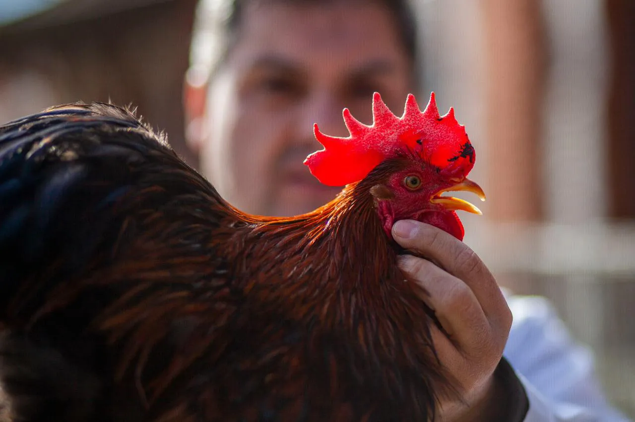 1cb3bebf-8fd9-4771-b71c-44f1f097e917