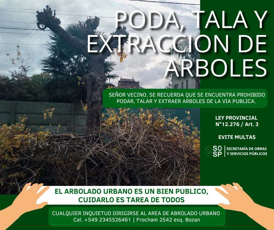 WhatsApp-Image-2025-06-18-at-08.59.51