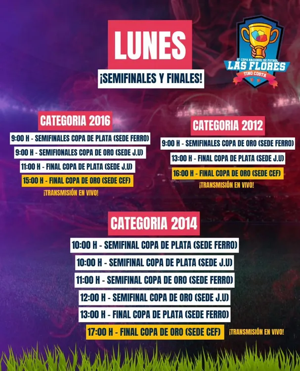 WhatsApp Image 2026-02-13 at 10.41.29 (1)