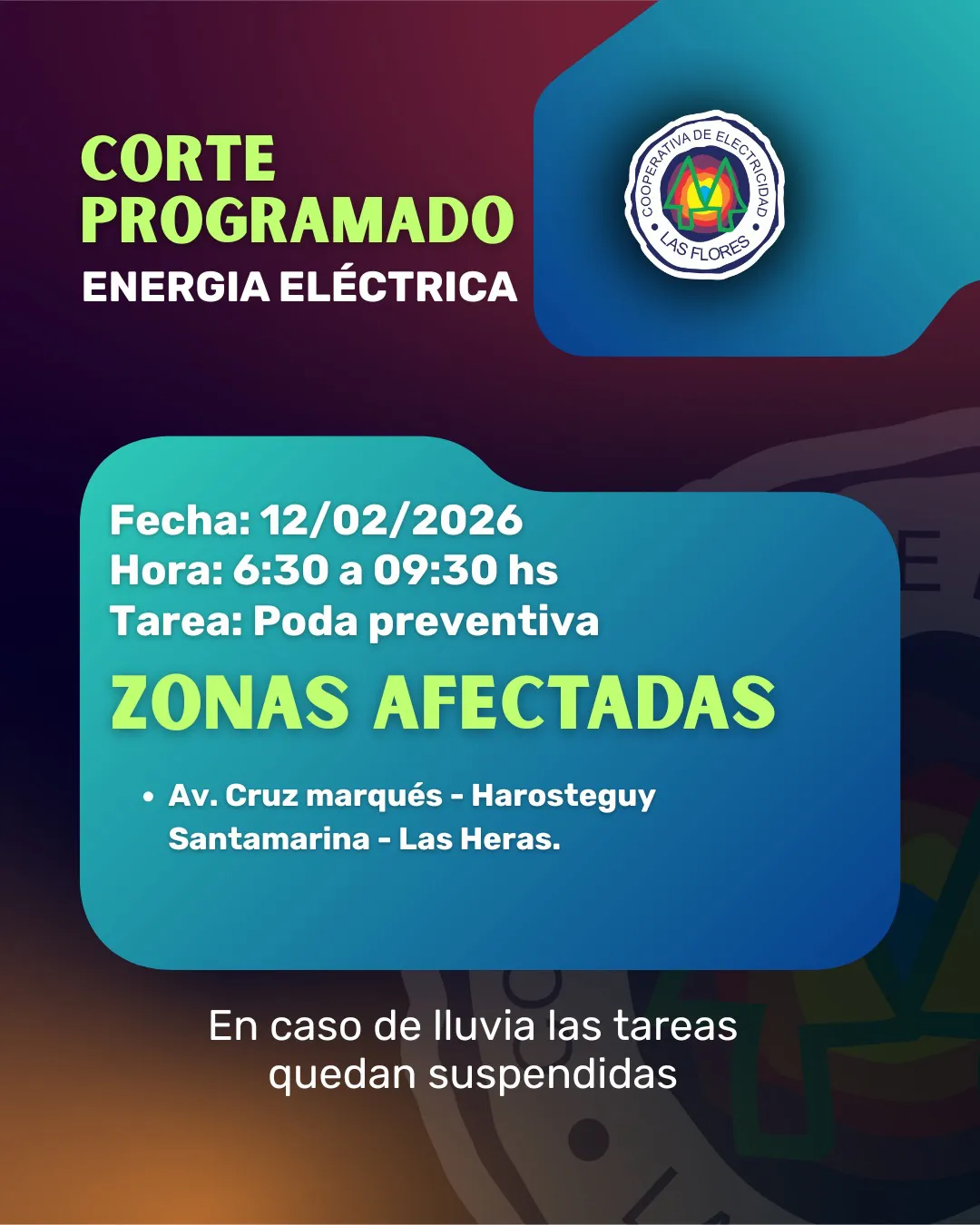 WhatsApp Image 2026-02-10 at 14.27.40