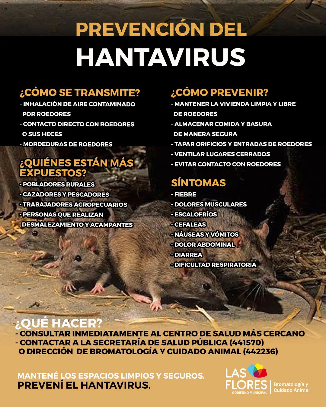 WhatsApp Image 2026-01-14 at 10.06.47